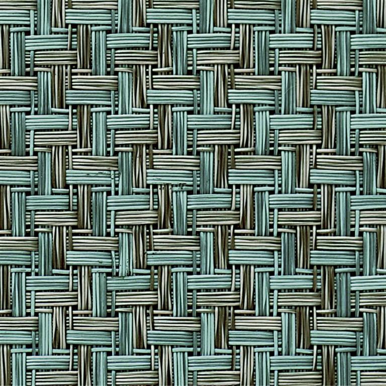 Cane 40 _ 2401.jpg